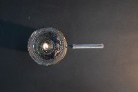 哺乳類的子宮與胚胎藏品圖，第5張