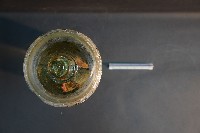 兔的消化系統藏品圖，第5張
