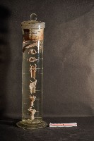 犬之咽喉藏品圖，第1張