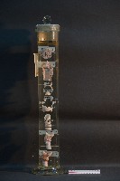 犬的咽喉藏品圖，第3張