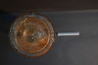 貓之呼吸器官/ 肺臟(貓) (解剖色素注射)藏品圖，第5張