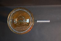 豚及貓之排泄器官藏品圖，第5張