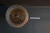 家貓的剖半藏品圖，第5張