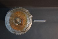 犬之頭骨切面藏品圖，第5張