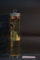牛之眼球藏品圖，第3張
