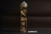 哺乳類關節構造藏品圖，第3張