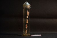 哺乳類關節構造藏品圖，第4張