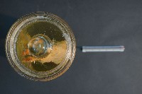 大白鼠解剖藏品圖，第5張