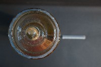 貓之消化系統解剖藏品圖，第5張