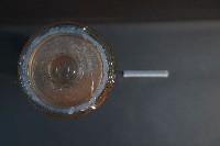 脊椎動物呼吸器官之比較藏品圖，第5張