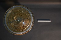 犬及貓隻內分泌器官藏品圖，第5張