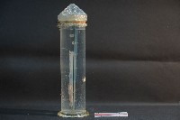 海洋發光生物藏品圖，第2張