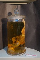 兔的解剖藏品圖，第2張