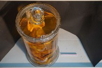 兔的解剖藏品圖，第5張