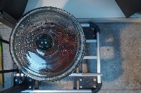 岩猴 / 臺灣獼猴的內部器官藏品圖，第5張