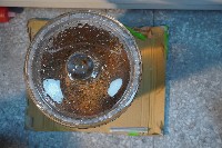 哺乳類的內部器官藏品圖，第5張