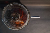 氈鹿的內部器官藏品圖，第5張