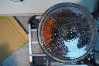 家犬的解剖藏品圖，第5張