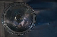 哺乳動物的內部器官藏品圖，第5張