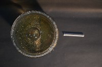 家犬(軀幹部橫切面)藏品圖，第5張