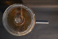 赤腹松鼠的切面藏品圖，第5張