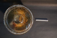 天竺鼠的切面藏品圖，第5張