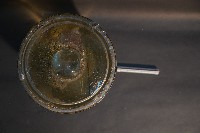 家犬(腿之切面)藏品圖，第5張