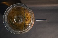 麝香貓的內部器官藏品圖，第5張