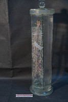 植物性神經系統(貓)藏品圖，第2張