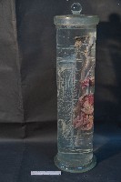 植物性神經系統(貓)藏品圖，第3張