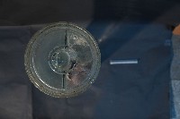 植物性神經系統(貓)藏品圖，第5張