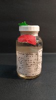 鞋魁蛤藏品圖，第2張