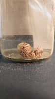 青螺藏品圖，第4張