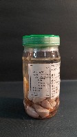 芋螺藏品圖，第2張