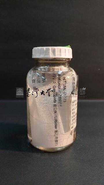 青螺藏品圖，第2張