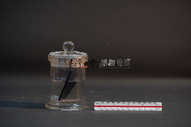 臺灣穿山甲的胎兒在母體內發育過程藏品圖，第2張