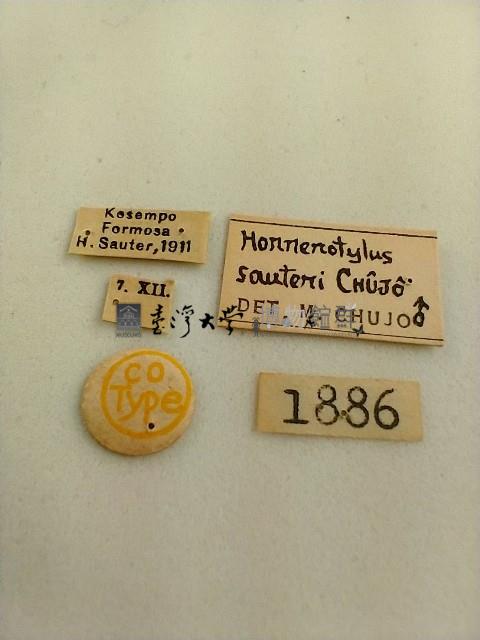 大蕈蟲藏品圖，第2張