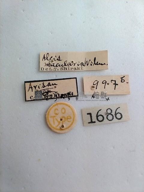 螟蛾藏品圖，第2張