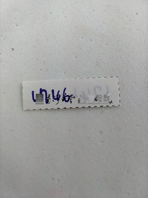 螟蛾藏品圖，第2張