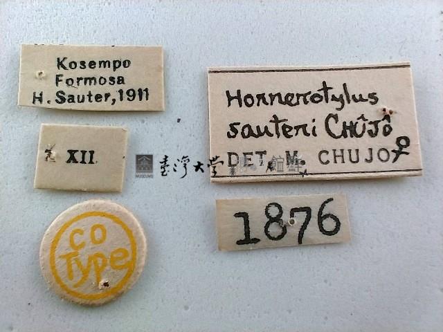 大蕈蟲藏品圖，第2張