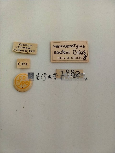 大蕈蟲藏品圖，第2張