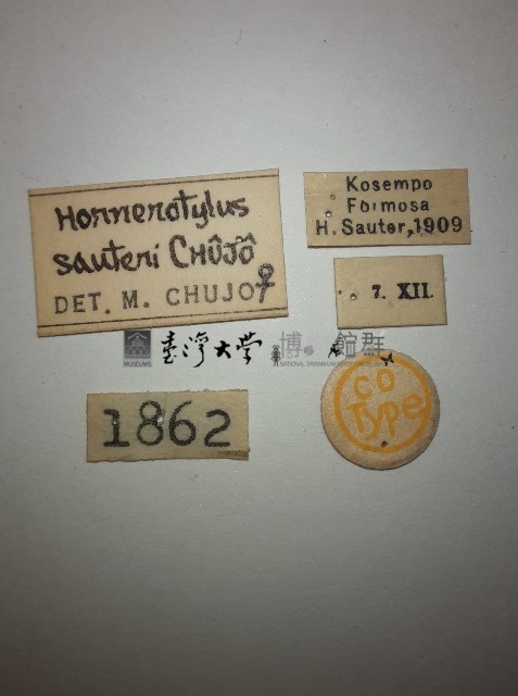 大蕈蟲藏品圖，第2張