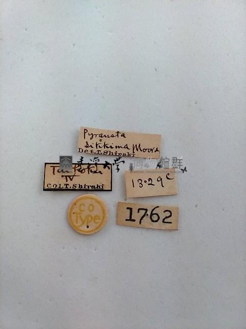 螟蛾藏品圖，第2張