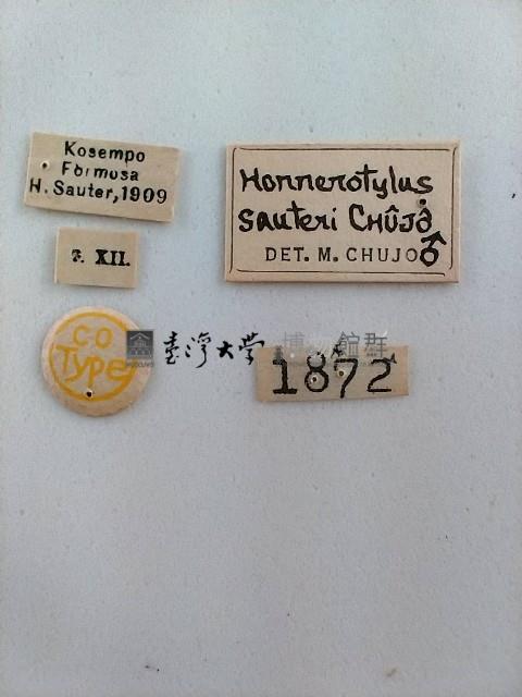 大蕈蟲藏品圖，第2張