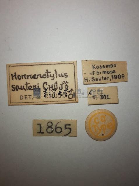 大蕈蟲藏品圖，第2張