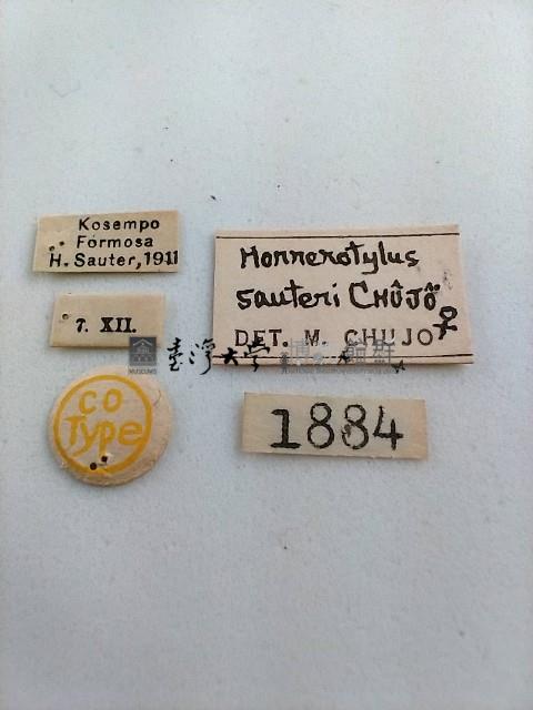 大蕈蟲藏品圖，第2張