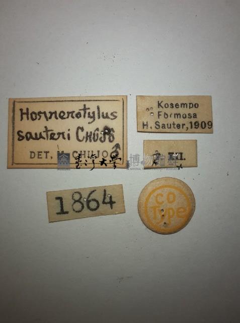 大蕈蟲藏品圖，第2張