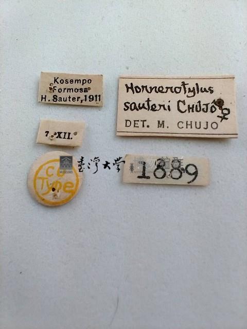 大蕈蟲藏品圖，第2張