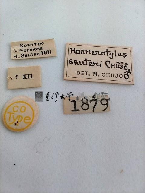 大蕈蟲藏品圖，第2張