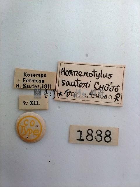 大蕈蟲藏品圖，第2張